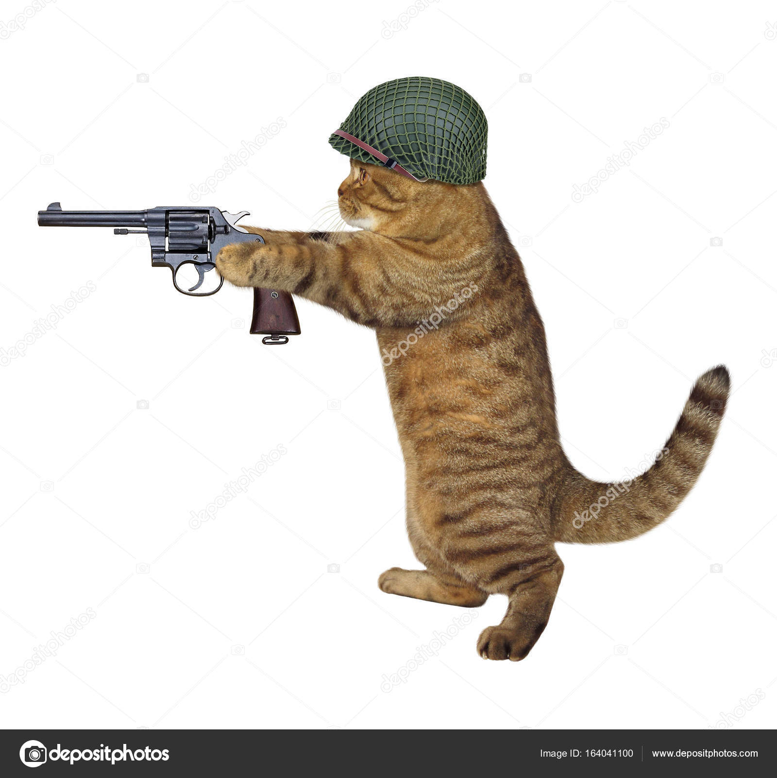 Коты солдаты с ружьями