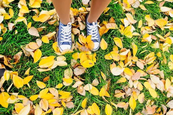 Girls legs in shoes stand on autumn leaves fall concept