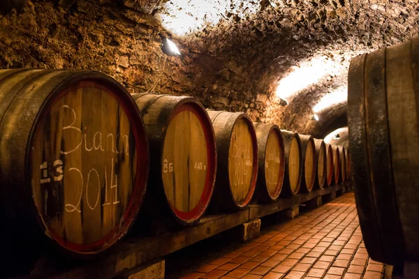 Old wooden barrels with wine in a wine vault, aged traditional w