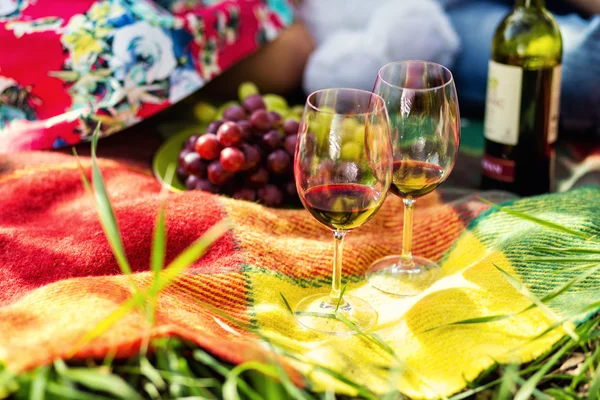 Picnic on the grass, picnic, wine, glasses, bottle of wine, grap