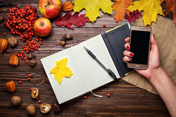 Girl holding a phone, notebook, pen and telephone in autumn still life, fall leaves, gifts of autumn,  wooden background, walnuts, maple leaves - autumn composition from top. Colorful autumn leaves