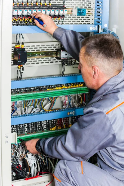 Electrician testing industrial machine, electrician builder engineer screwing equipment in fuse box, Male Electrician