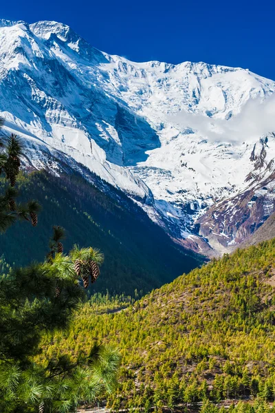 Landscapes Snow Mountains Nature Morning Viewpoint.Mountain Trekking Landscape Background. Nobody photo.Asia Vertial picture. Sunlights White Blue Sky. Himalayas Rocks.