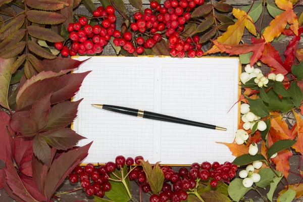 An open notebook on the background of autumn berries, flowers and leaves