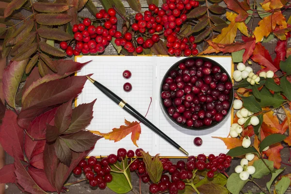 Autumn berries, cranberry and Rowan in a notebook on the background of autumn leaves and fruits
