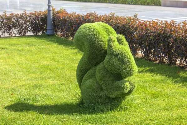 Squirrel. Topiary figure in the Kremlin (Palace) embankment of the river Kazanka.