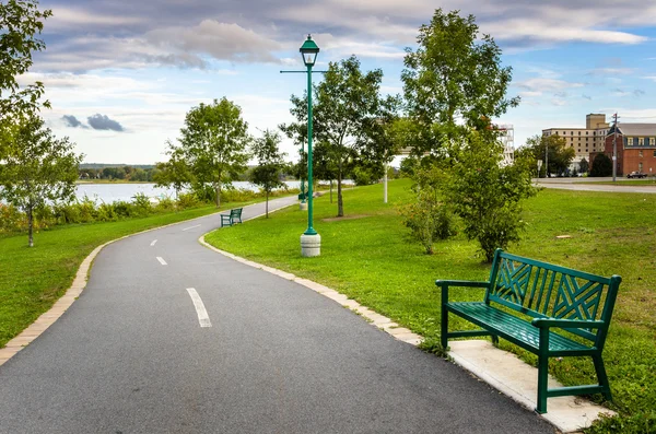 Path Lined with Benches in a Riverside Park