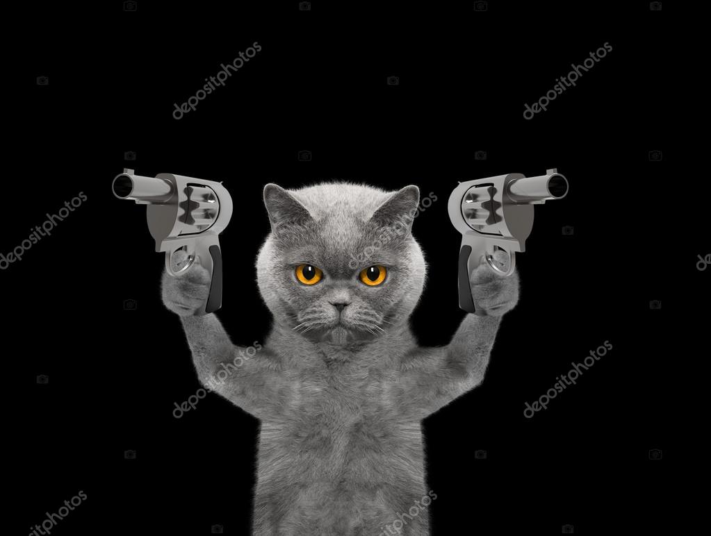 Котейка с пистолетом