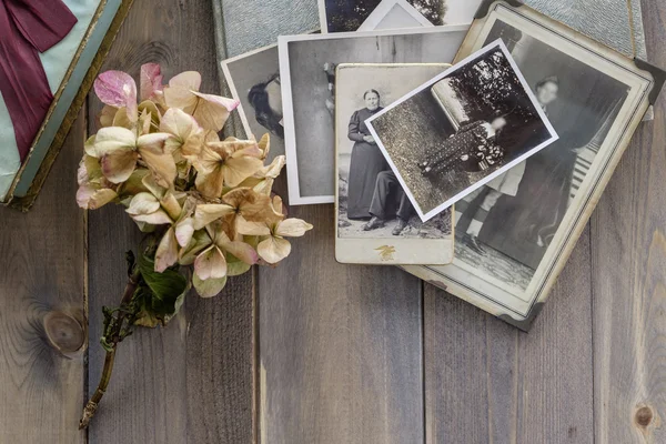 Vintage black and white photos with faded flower