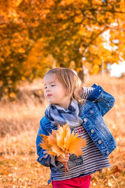 Little girl with yellow autumn golden leaves. Child play outdoors in the park.