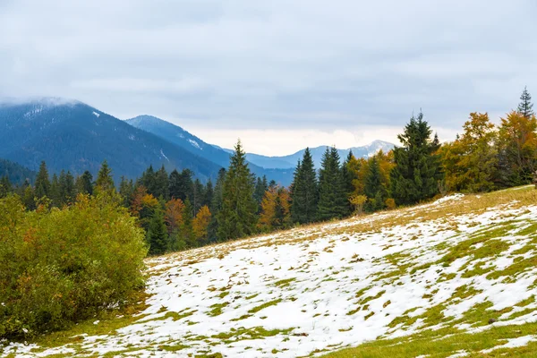 Beautiful autumn, a colorful mountain landscape with snow-capped peaks and yellow trees