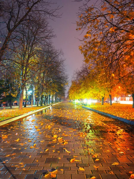 Autumn Night urban alley in the rain.