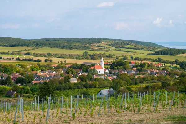 Balaton and Nivegy valley wine region with village, Hungary