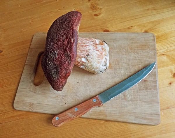 Big mushroom on cutting board with knife.