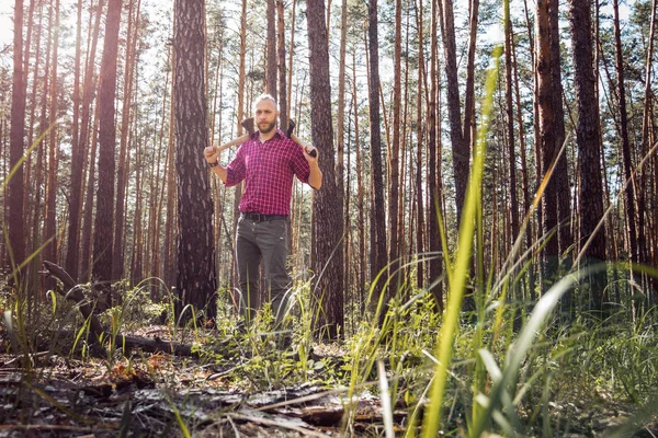 The man in the forest in a red plaid shirt in the midst of tall trees