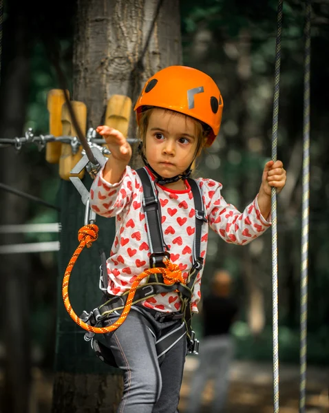 Sports happy kid climbs through the ropes