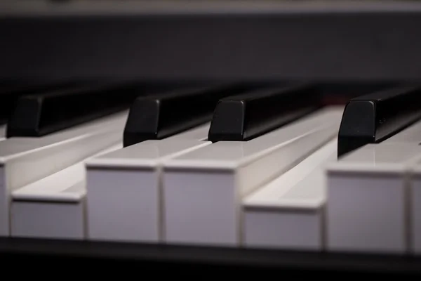 Piano keys close-up, musical instrument