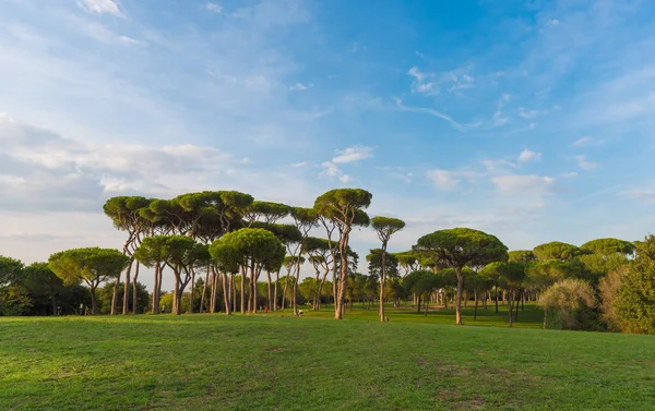 ROME, ITALY - 23 SEPTEMBER 2016 - The Villa Doria Pamphili