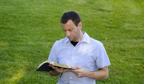 Reading the Bible in the grass.