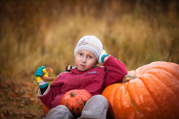 Happy little boy sitting near the pumpkins and eat a bagel