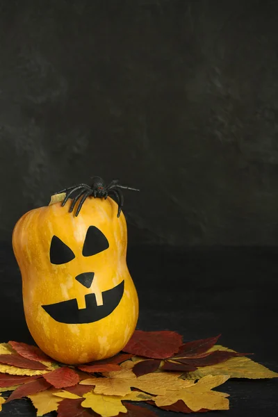 Halloween pumpkin with scary face, ruber spider and autumn leave