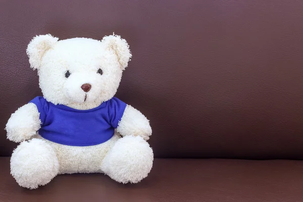 White teddy bear with blue shirt on the sofa