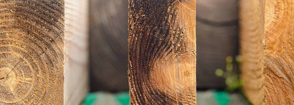 Wood background. Tree rings texture