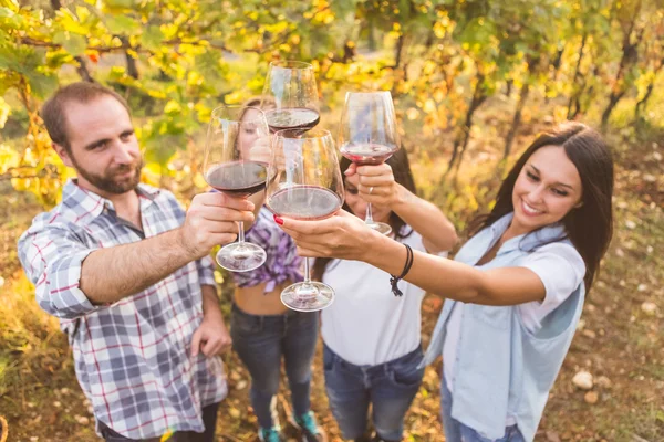 Friends toasting with wine in an vineyard