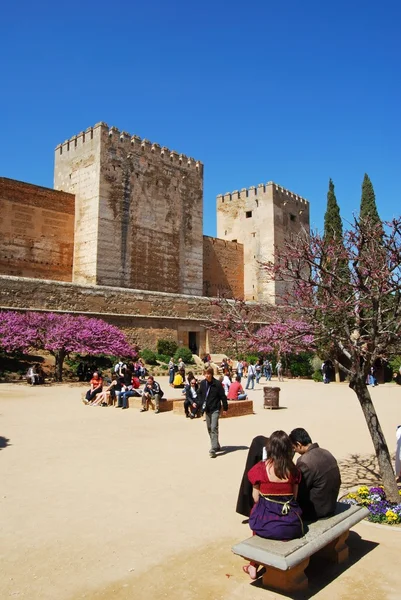 Cistern Court (Plaza de los Aljibes), East side of the castle with pink tree blossom in foreground and tourists enjoying the sights, Palace of Alhambra, Granada, Spain.