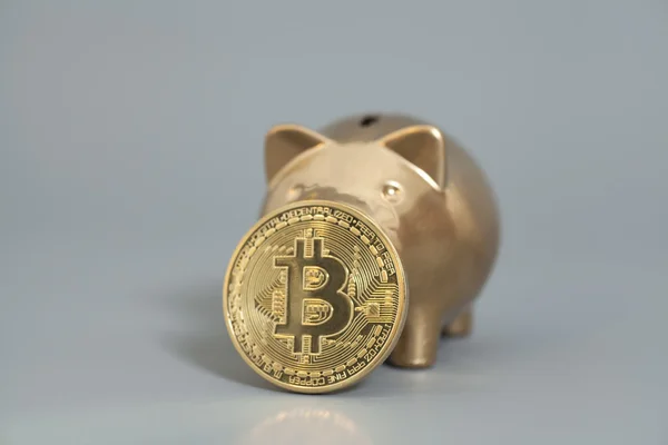 Golden Piggy bank with One Golden Bitcoin coin (new virtual mone