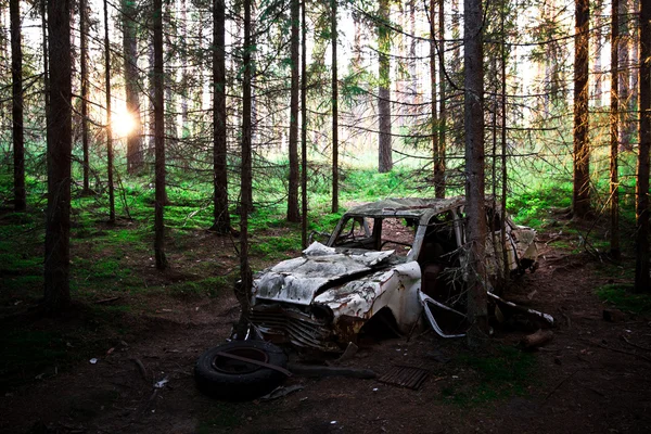 Abandoned car in a forest