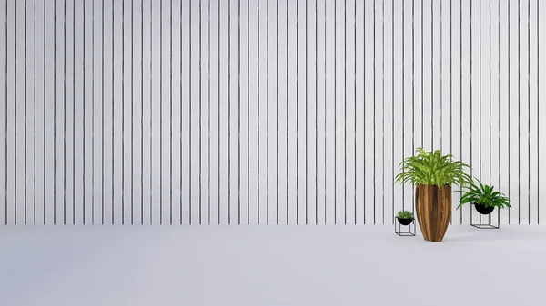 White office wall and green tree plant in vase interior-3d rendering