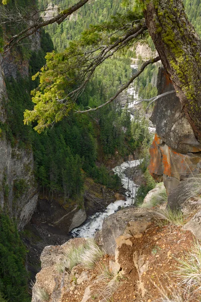 Canyon near Spahats Falls