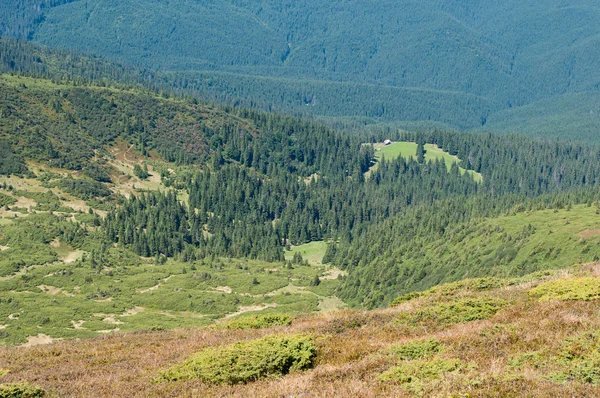 Single house and green pasture overlooking Svydovets ridge