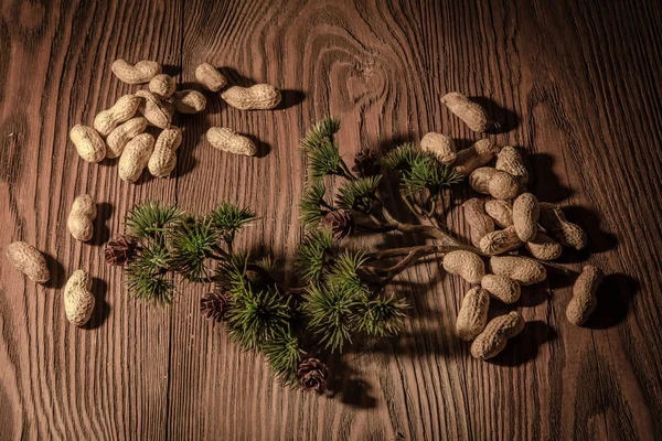 Pine branch with pine cones and nuts on a wooden background