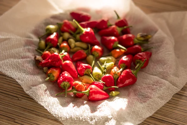 Pepper, red pepper, red hot pepper, spicy, spice, food, plant, small red pepper, chili. CHILLI