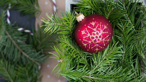 Christmas red ball with a fresh Christmas tree in a wooden box