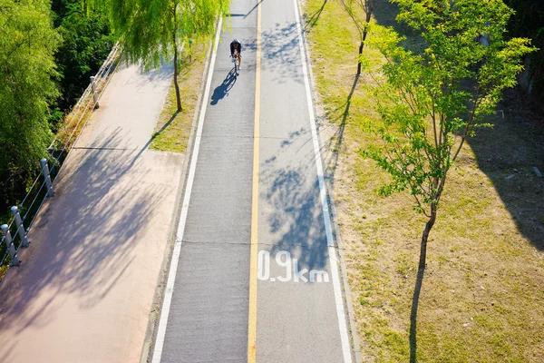 Bike path in Seoul