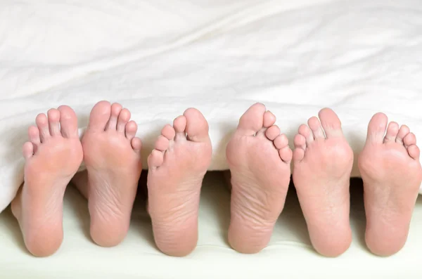 Three pairs of feet in bed
