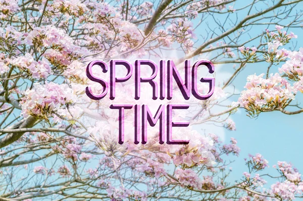 Spring time message with a beautiful pink flowers flowery background.