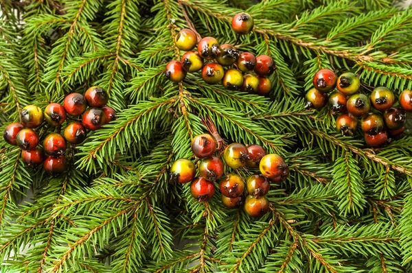 Christmas tree with decoration. Green spruce branch with berries.