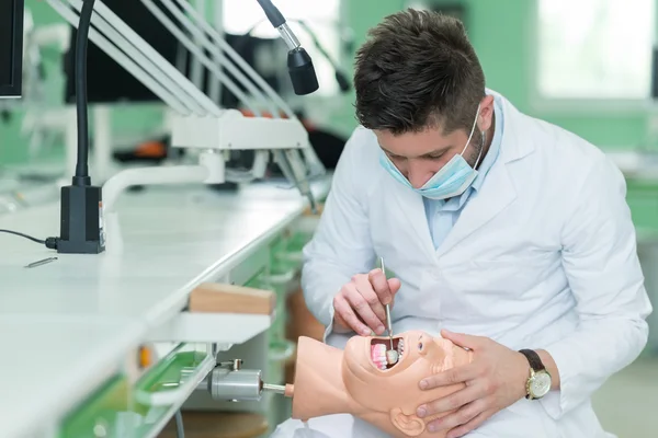 Dental student practicing on doll.