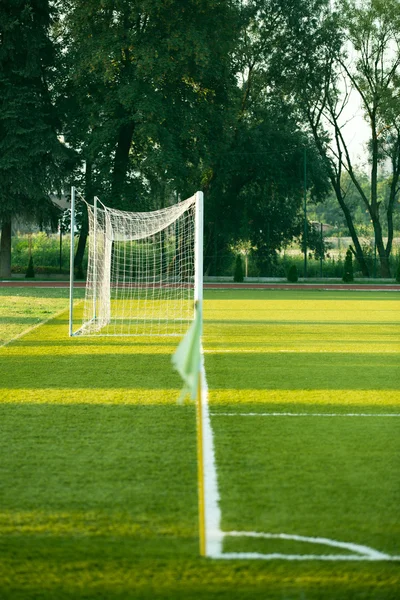 Left side view of standard goal and net in football pitch or soccer field, sport equipment in the stadium