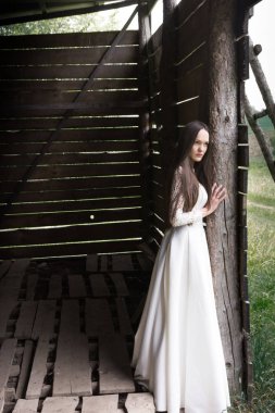 hisse senedi güzel gelin