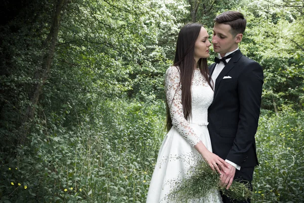 Novia y novio en el bosque —  Fotos de Stock