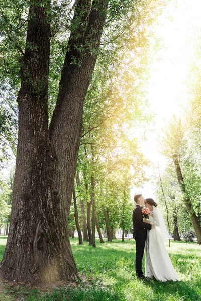 Novia y novio en el parque —  Fotos de Stock