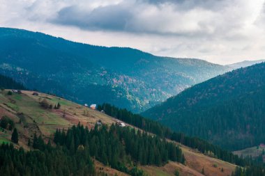 güzel Karpat Dağları