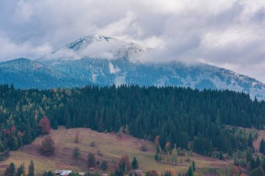 güzel Karpat Dağları