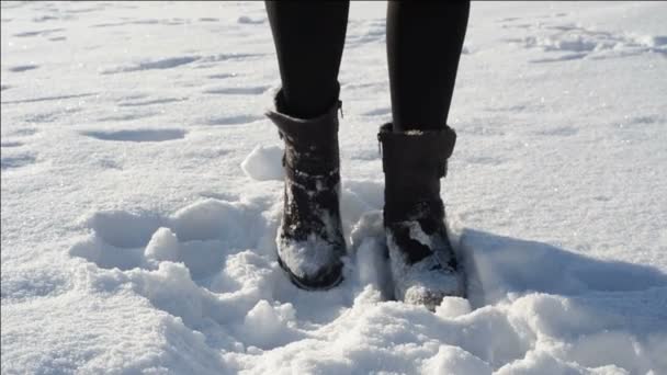 Woman standing in snow — Stock Video