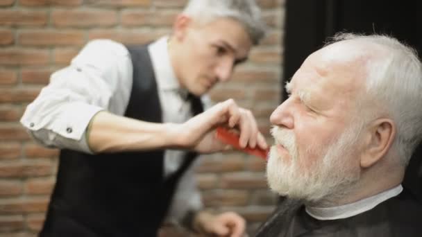 Retraité actif vieux barbu homme âgé âgé avec les cheveux grisonnants dans coiffeur salon de coiffure — Video